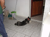 DSC05451.JPG