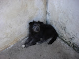dsc06258.jpg