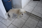 DSC00010.JPG