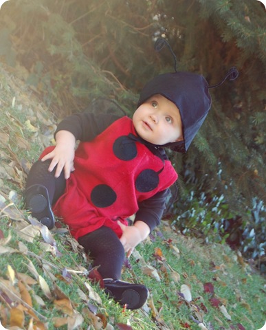 chuckladybug