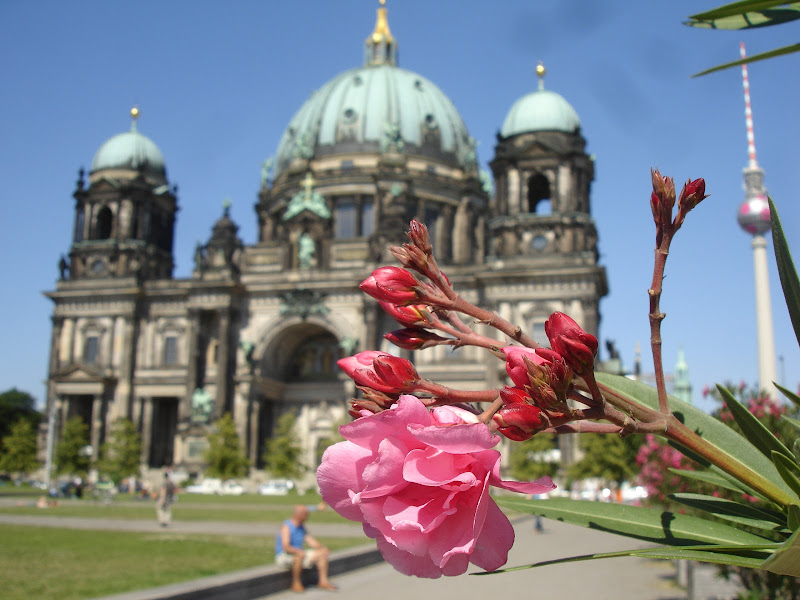 The Berliner Dom