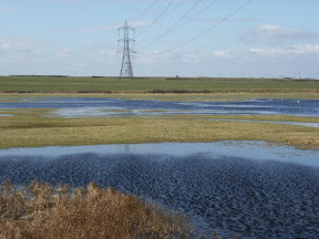 1003140016.JPG Oare Marshes