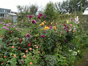 DSCF2004.JPG Garden at Charleston Farmhouse