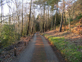 DSCF0249.JPG Winter sun on The Cearne