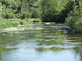 DSCF0868.JPG River Avon