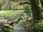 1005030008.JPG River Chilt