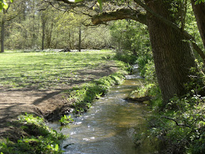 1005030008.JPG River Chilt
