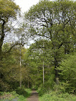 1005120032.JPG Kings Wood