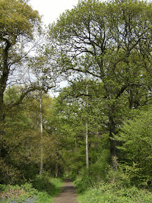 1005120032.JPG Kings Wood