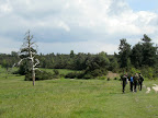 1006120047.JPG Manoeuvres on Ashdown Forest