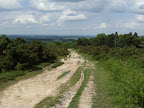 1006120055.JPG Ashdown Forest