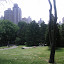 Frukost i Central Park