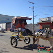CavalgadaFelixlandia-10.JPG
