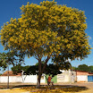 turmadopedaldefelixlandia-057.JPG