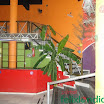 havaianafestxango-005.jpg