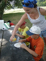passvac2010 