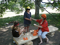 passvac2010 