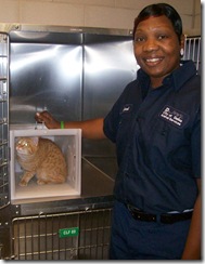 Petco, local education group, team up to provide early Christmas present for shelter cats