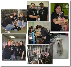Be part of DFW Spay Day 2011 and help save lives!