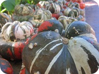 IMG_3932