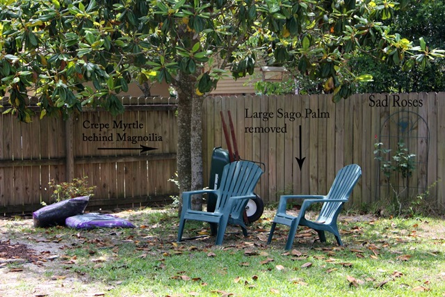 [yard[11].jpg]