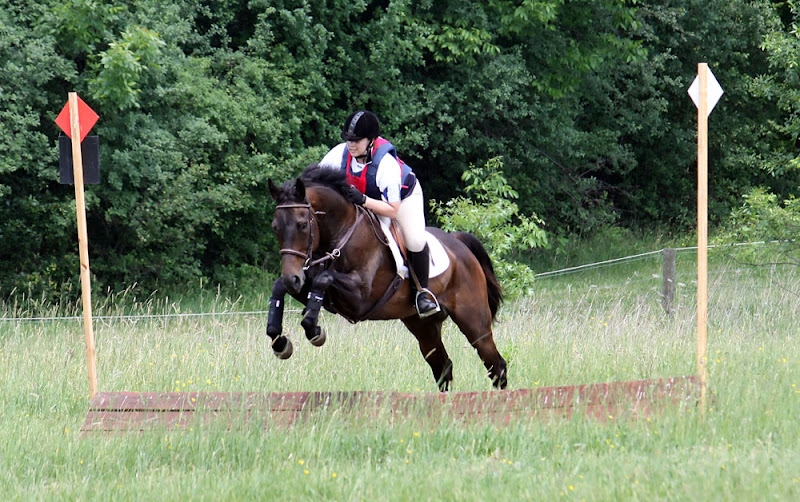 IMAGE: http://lh3.ggpht.com/_aleubAxufQ4/TAJYWFaEaeI/AAAAAAAAAus/zR9qKlSbbsk/s800/586.jpg