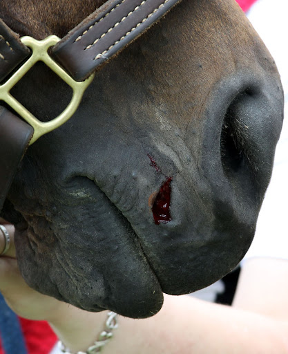 IMAGE: http://lh3.ggpht.com/_aleubAxufQ4/TAJv__0lJfI/AAAAAAAAAwU/ZbAs8nkxFyI/s512/ouchie.jpg