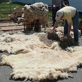 BV_Fiberarts