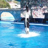 Orlando 2009 - Uploadable