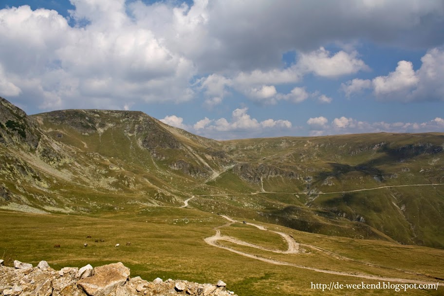 transalpina poze