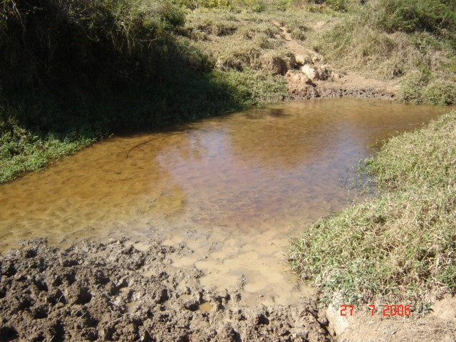 [DSC049084.jpg]