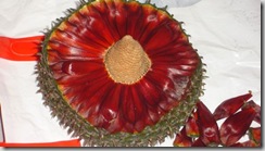 pinon1