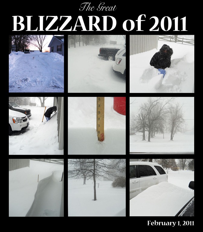 [blizzard 2011 collage[4].jpg]