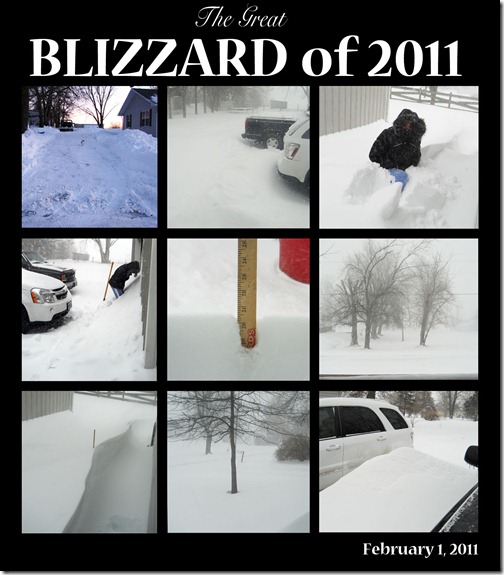 blizzard 2011 collage