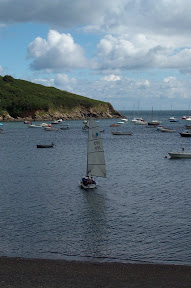 dcp_0339.jpg