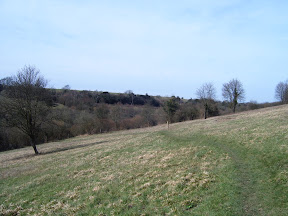 S4301734.JPG 
