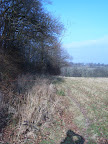 S4300912.JPG 