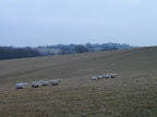 S4300917.JPG 