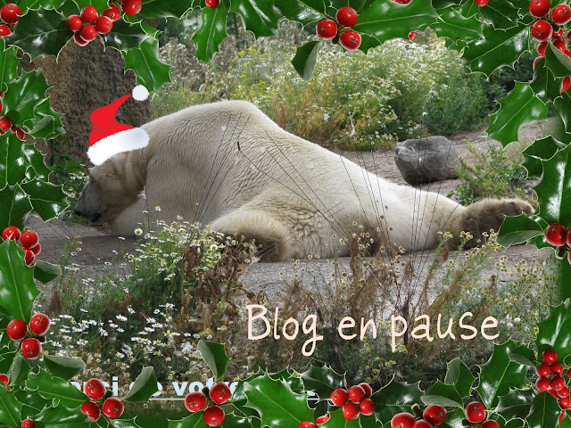 Joyeux Noël dans Famille 