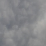 21-07-08_2052.jpg