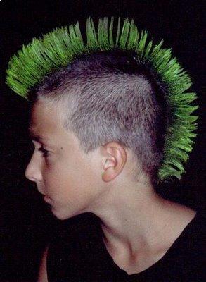 Mohawk Punk Haircuts
