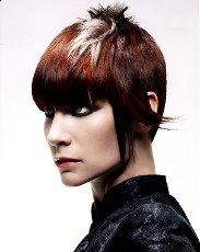 Modern Hairstyles Pictures 2010