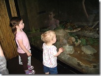 2009_05_12 066