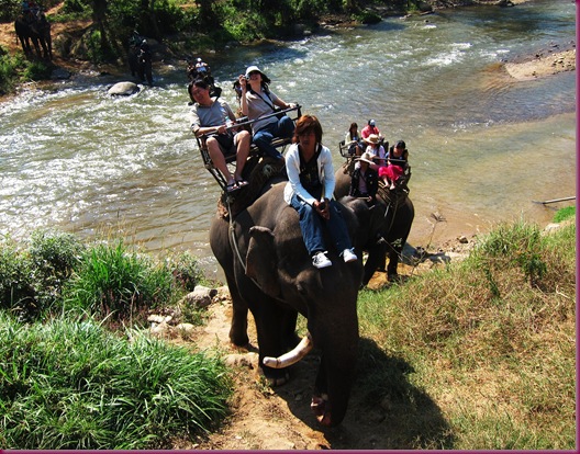 mae taeng elephant park elephant ride