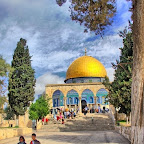 dome-rock-jerusalem-palestine-mosque-tree-sky