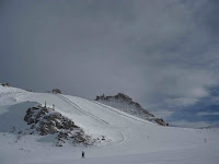 P1000705_2.jpg
