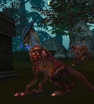 http://lh3.ggpht.com/_avCv3sod1aY/SsJftMxYoAI/AAAAAAAAAo8/KvUOSyYl09g/KaulitaraHasa.jpg