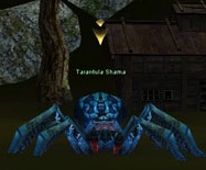 http://lh3.ggpht.com/_avCv3sod1aY/SsJgUvwSq-I/AAAAAAAAAp0/cBQ-AFpZGXo/TarantulaShama.jpg
