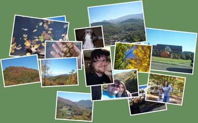 View Smoky Mountain Fall 2010