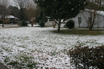 Snow Day 01